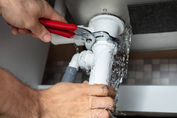 Best Flooded house restoration  in Owensville, MO