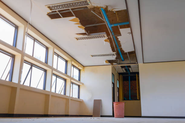 Best Water damage restoration services  in Owensville, MO