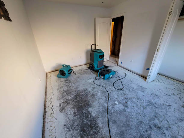 Best Flooded house restoration  in Owensville, MO