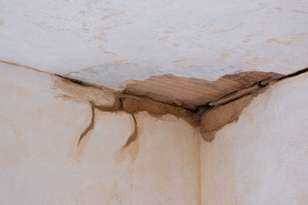 Best Water damage contractors near me  in Owensville, MO