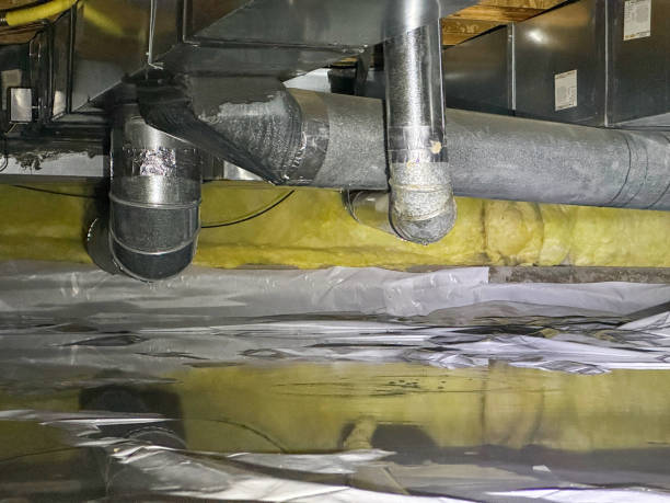 Best Ceiling water damage repair  in Owensville, MO