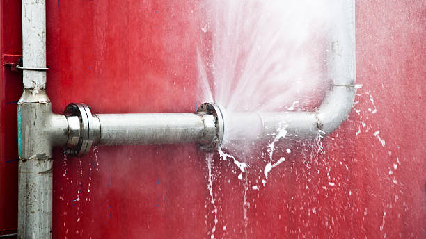 Best Water damage contractors near me  in Owensville, MO